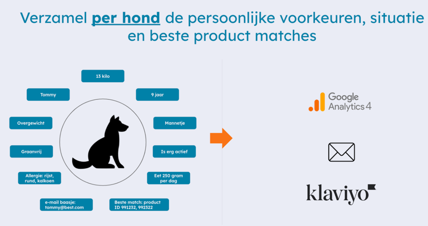 Scherm­afbeelding 2025-12-02 om 16.53.40