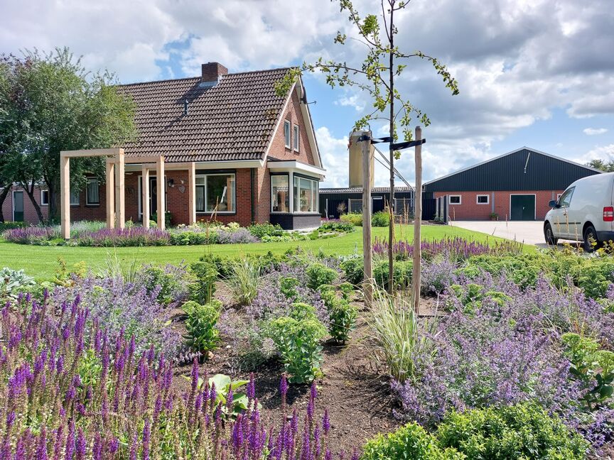 Insect vriendelijke tuin