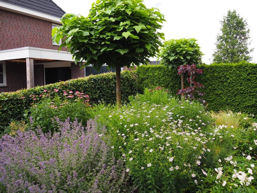 groene tuin 2
