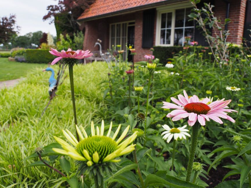 Beplanting Brucht