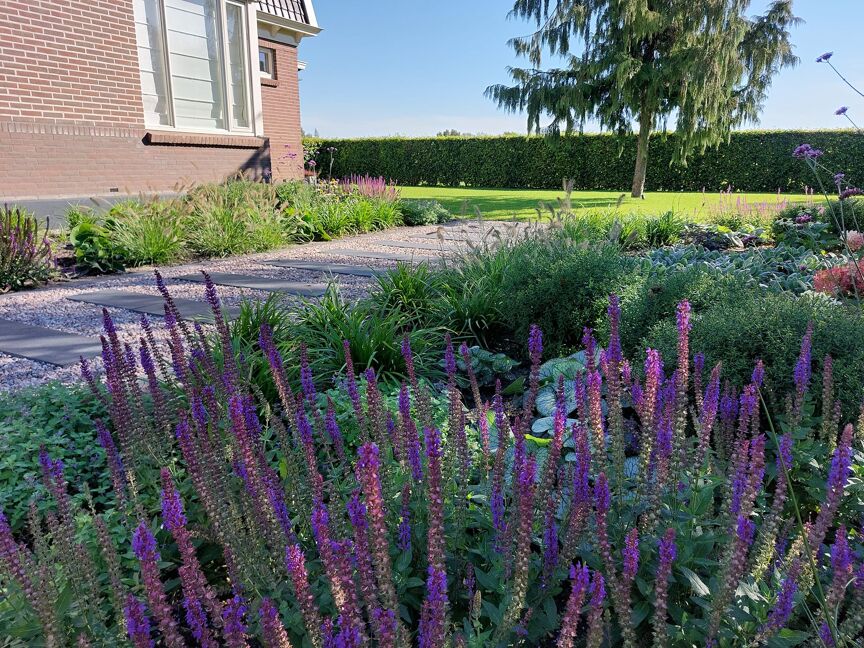 dedemsvaart 7