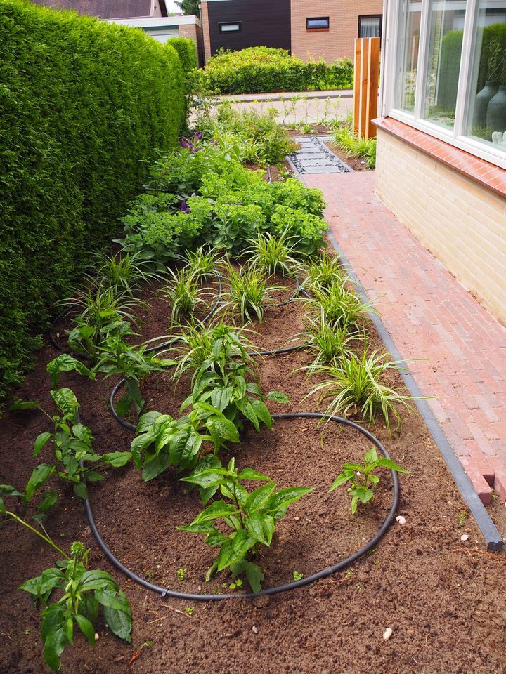 Plantenvak