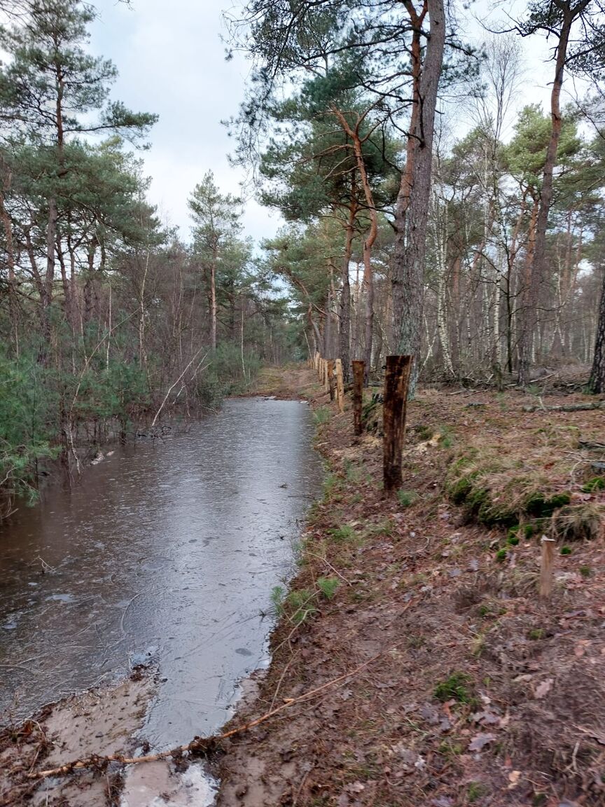 Hekwerk plaatsen Ommen