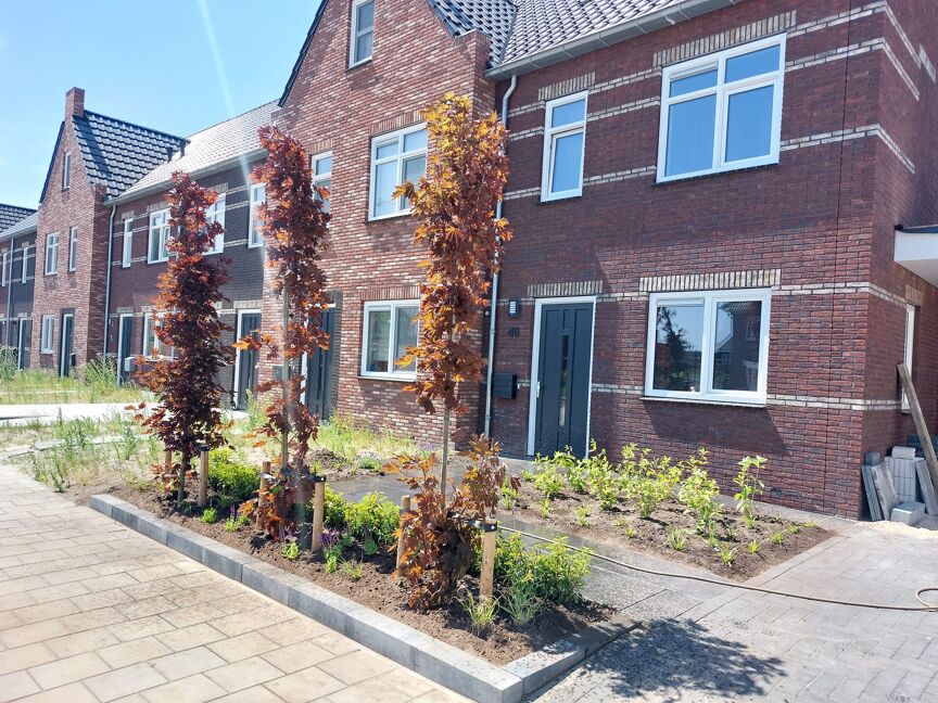 Kleine voortuin 3