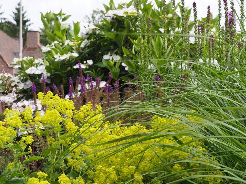 Levendige tuin Bergentheim 4