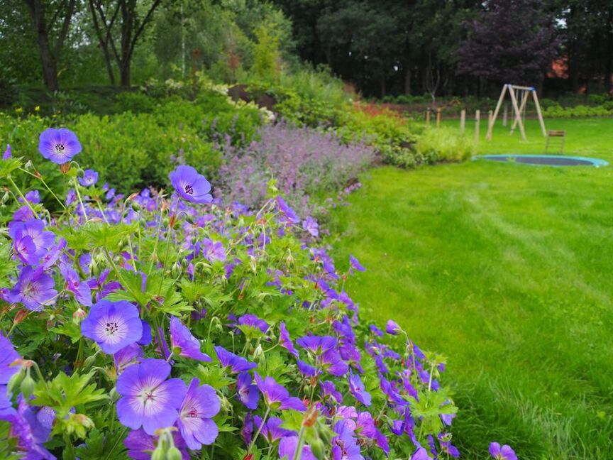 Combinatie siergrassen & vaste planten 1