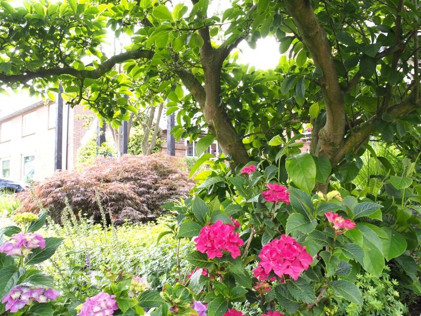 Levendige tuin Bergentheim 3
